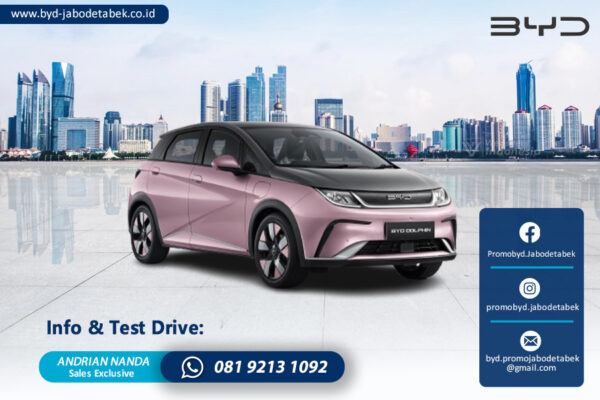 BYD DOLPHIN